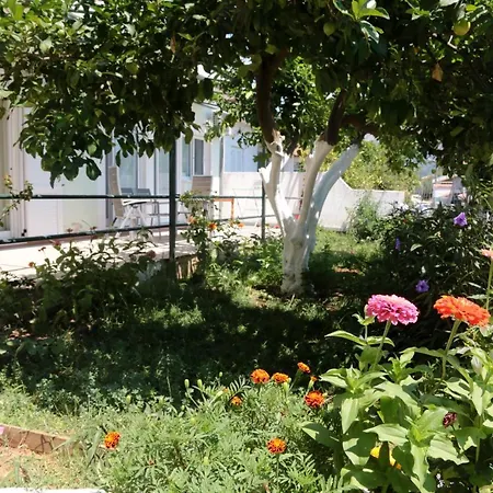 Ifigenias דירה *