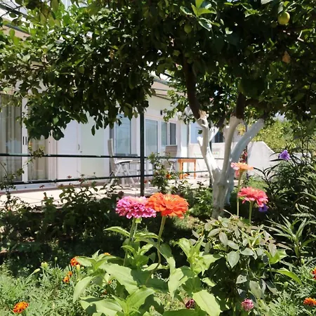 דירה Ifigenias Ágios Pétros