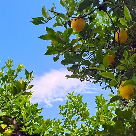 Apartman Ifigenias Ágios Pétros