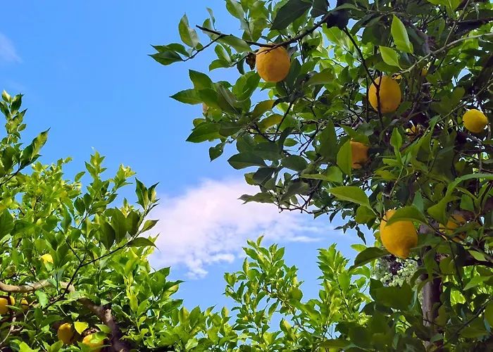 Apartman Ifigenias Ágios Pétros